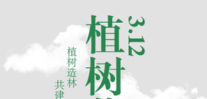 �y�ֲ�����������������