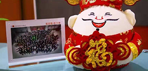 ������ϲ������ؘ��O(sh��)Ӌ�o����������